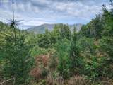 96149 Mcgribble Rd - Photo 16