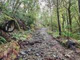 96149 Mcgribble Rd - Photo 22