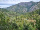 96149 Mcgribble Rd - Photo 6