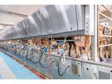 35725 Engle Rd - Photo 23