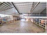 35725 Engle Rd - Photo 8