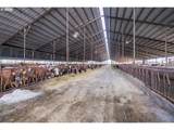 35725 Engle Rd - Photo 9