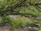 12300 Highway 126 - Photo 40