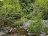 12300 Highway 126 - Photo 42
