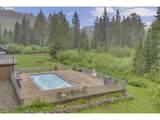 31039 Multorpor Dr - Photo 32