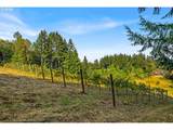 18485 Smith Rd - Photo 40