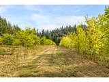 29630 Wheeler Rd - Photo 10