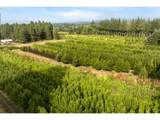29630 Wheeler Rd - Photo 11