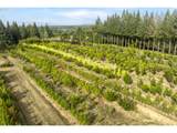 29630 Wheeler Rd - Photo 12
