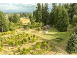 29630 Wheeler Rd - Photo 13