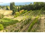 29630 Wheeler Rd - Photo 14