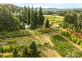 29630 Wheeler Rd - Photo 15