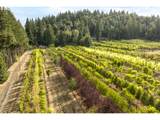 29630 Wheeler Rd - Photo 17