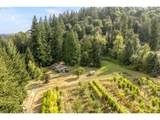 29630 Wheeler Rd - Photo 18