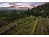 29630 Wheeler Rd - Photo 19