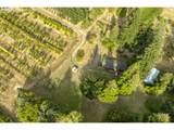 29630 Wheeler Rd - Photo 3