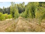 29630 Wheeler Rd - Photo 43