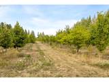 29630 Wheeler Rd - Photo 44
