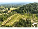29630 Wheeler Rd - Photo 45