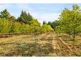 29630 Wheeler Rd - Photo 6