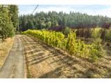 29630 Wheeler Rd - Photo 8