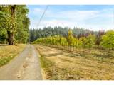 29630 Wheeler Rd - Photo 9