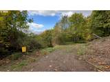 239 Columbia View Dr - Photo 1