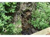  Sun Lake - Photo 11