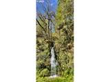 28593 Lower Smith River Rd - Photo 43