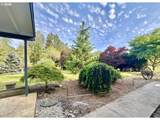 89237 Sheffler Rd - Photo 35