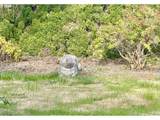 89237 Sheffler Rd - Photo 37