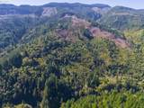 0 Tin Shack Rd - Photo 3