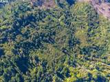 0 Tin Shack Rd - Photo 6