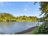 32020 Peach Cove Rd - Photo 25
