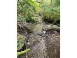  North Bank Rd - Photo 20