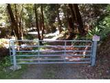  North Bank Rd - Photo 26