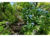 7231 Laview Dr - Photo 39