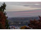 7231 Laview Dr - Photo 47
