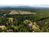 58830 Hwy 204 - Photo 8