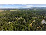 58830 Hwy 204 - Photo 9