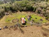 1230 Becker Rd - Photo 11