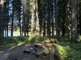 27428 Odell Rd - Photo 2