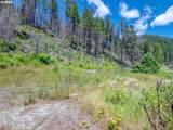 47901 Mckenzie Hwy - Photo 11