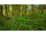 63450 Fairview Rd - Photo 30