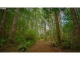 63450 Fairview Rd - Photo 31