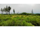 37489 Highway 224 - Photo 10
