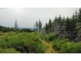 37489 Highway 224 - Photo 11