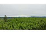 37489 Highway 224 - Photo 13