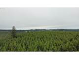 37489 Highway 224 - Photo 15