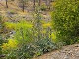 25920 Hwy 395 S - Photo 10